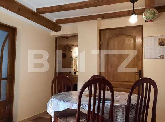 Casa de vânzare 6 camere Torontalului - 82772CV | BLITZ Timișoara | Poza6