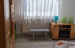  Casa in zona Badea Cartan, 65 mp utili, in curte comuna