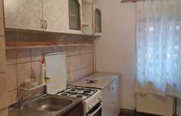 Apartament cu 2 camere, 45 mp, zona Buziasului