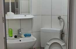 Garsoniera renovata, 16 mp, zona Buziasului