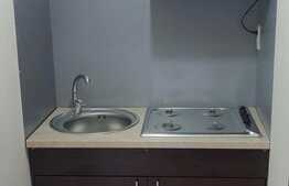 Garsoniera renovata, 16 mp, zona Buziasului