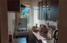 Apartament de 2 camere, 50 mp, zona Sagului