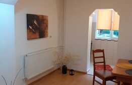 Apartament de 2 camere, 55 mp, zona Lipovei