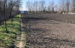 Casa individuala, 150 mp utili, 4300 mp teren! Berini!