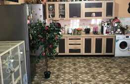 Casa individuala, 150 mp utili, 4300 mp teren! Berini!