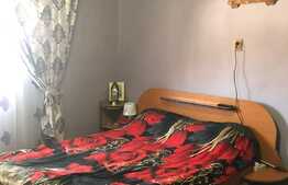 Casa individuala, 150 mp utili, 4300 mp teren! Berini!