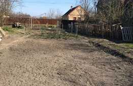 Casa individuala, 150 mp utili, 4300 mp teren! Berini!