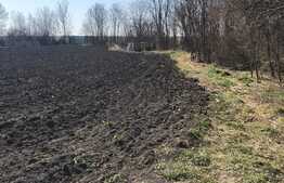 Casa individuala, 150 mp utili, 4300 mp teren! Berini!