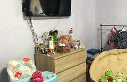 Casa individuala, 150 mp utili, 4300 mp teren! Berini!