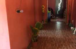 Casa individuala, 150 mp utili, 4300 mp teren! Berini!