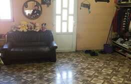 Casa individuala, 150 mp utili, 4300 mp teren! Berini!