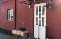 Casa individuala, 150 mp utili, 4300 mp teren! Berini!