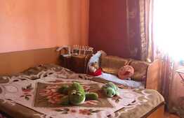 Casa individuala, 150 mp utili, 4300 mp teren! Berini!