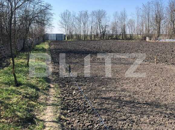 Casa de vânzare 4 camere Exterior Est - 83352CV | BLITZ Timișoara | Poza18