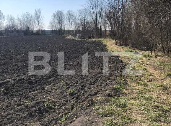 Casa de vânzare 4 camere Exterior Est - 83352CV | BLITZ Timișoara | Poza19