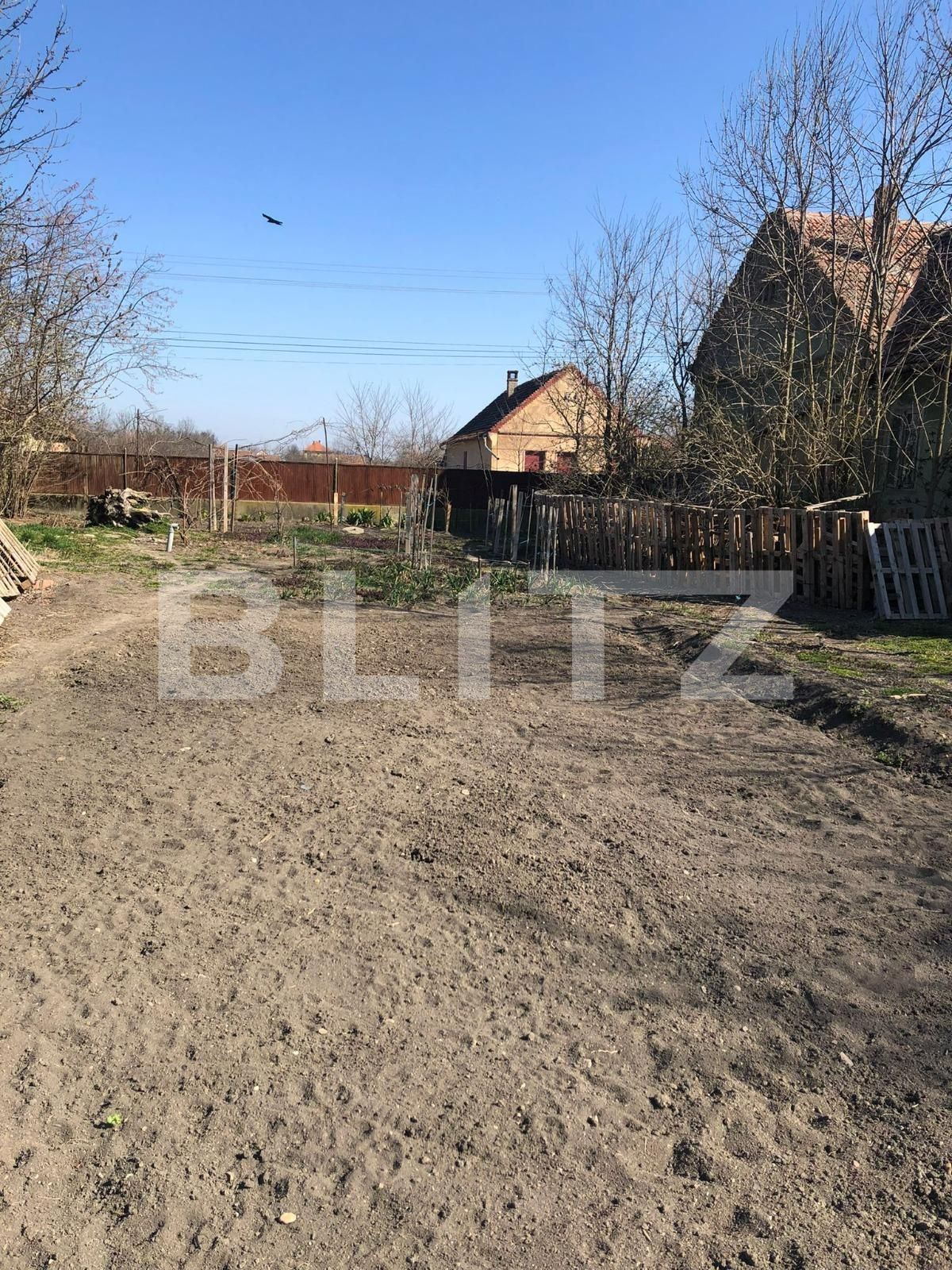 Casa de vânzare 4 camere Exterior Est - 83352CV | BLITZ Timișoara | Poza17