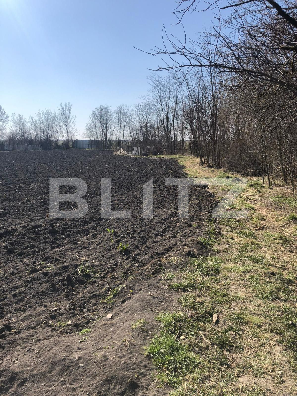 Casa de vânzare 4 camere Exterior Est - 83352CV | BLITZ Timișoara | Poza19