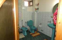 Casa individuala, la cheie, 239 mp utili, 576 mp teren, Ghiroda