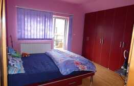 Casa individuala, la cheie, 239 mp utili, 576 mp teren, Ghiroda