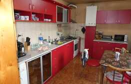 Casa individuala, la cheie, 239 mp utili, 576 mp teren, Ghiroda