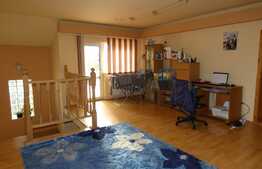 Casa individuala, la cheie, 239 mp utili, 576 mp teren, Ghiroda