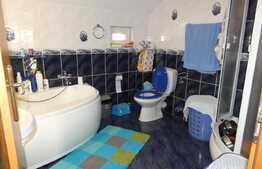 Casa individuala, la cheie, 239 mp utili, 576 mp teren, Ghiroda