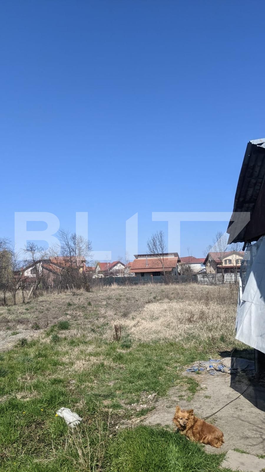 Casa de vânzare 3 camere Ghiroda - 83372CV | BLITZ Timișoara | Poza1