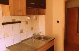 Apartament 2 camere, etaj intermediar, centrală, zona sala Olimpia