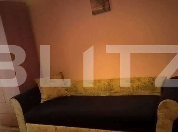 Garsonieră de vânzare Mircea cel Batran - 83518AV | BLITZ Timișoara | Poza2
