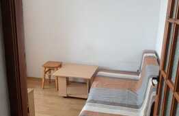 Garsoniera de 23 mp, mobilata, zona Stadion