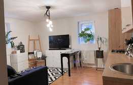 Apartament 2 camere, mobilat, bloc izolat termic, zona Lipovei