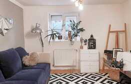 Apartament 2 camere, mobilat, bloc izolat termic, zona Lipovei