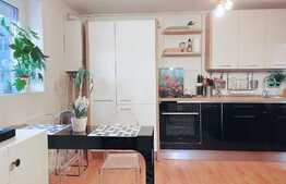 Apartament 2 camere, mobilat, bloc izolat termic, zona Lipovei