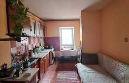 Apartament de 2 camere, 50 mp, zona Dorobantilor