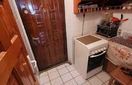 Garsoniera de 21 mp, mobilata, zona Blascovici