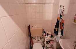 Garsoniera de 21 mp, mobilata, zona Blascovici