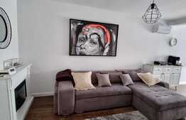 Duplex de vanzare, 100 mp utili, teren 270 mp, mobilat si utilat, Dumbravita