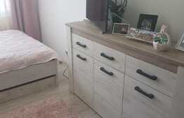 Apartament de 3 camere, 50 mp, zona Dacia