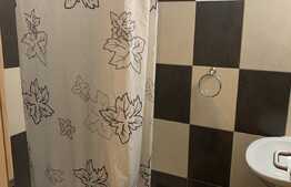 Camera de inchiriat, 22 mp, zona Torontalului