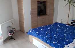 Duplex finisat si mobilat de vanzare, 145 mp utili, Calea Urseni