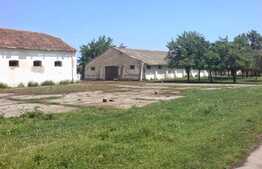 Oportunitate investitii, 147.000 mp teren intravilan, compact, in Timis!