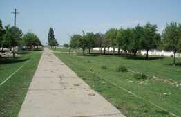 Oportunitate investitii, 147.000 mp teren intravilan, compact, in Timis!