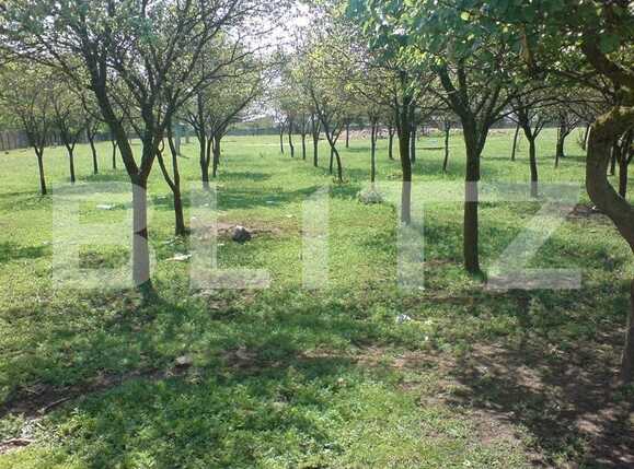 Teren de vânzare Nord-Vest - 83832TV | BLITZ Timișoara | Poza5