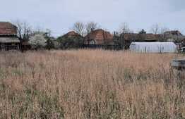 Ocazie! Teren intravilan mare, pentru constructii, Mosnita!