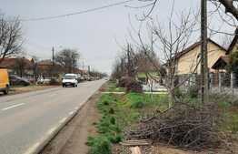 Ocazie! Teren intravilan mare, pentru constructii, Mosnita!