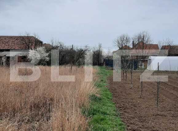 Teren de vânzare Mosnita Veche - 83843TV | BLITZ Timișoara | Poza3
