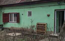 Imobil cu destinatii multiple, 300 mp utili, Calea Aradului