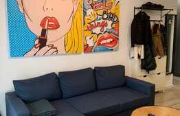 Apartamente de doua camere, zona Aradului