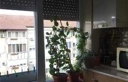 Apartament de 2 camere, 55 mp, zona Dorobantilor