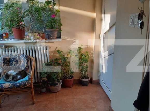 Casa de vânzare 2 camere Olimpia-Stadion - 84087CV | BLITZ Timișoara | Poza2